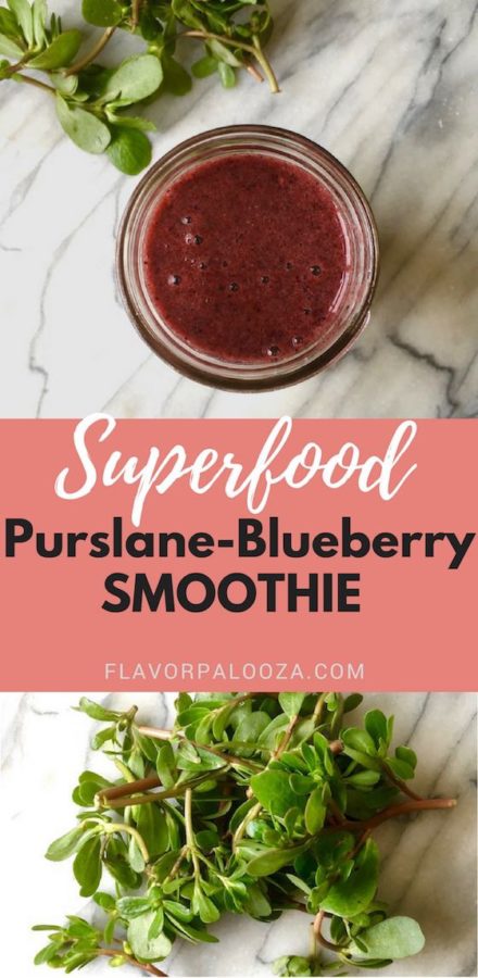 Up your healthy smoothie game by adding in the amazing superfood known as purslane + learn all about its health benefits! #purslane #superfood #smoothie | flavorpalooza.com