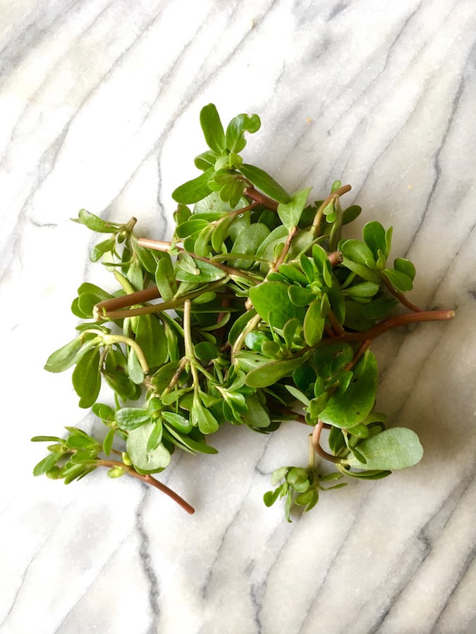 Purslane | Healthy Superfood | flavorpalooza.com