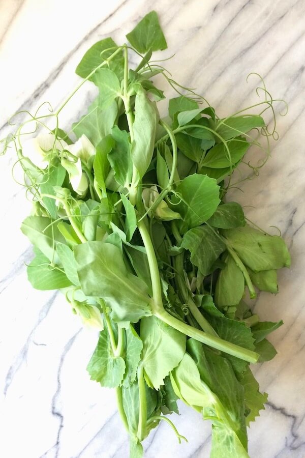A bunch of fresh pea shoots on a bright marble countertop.